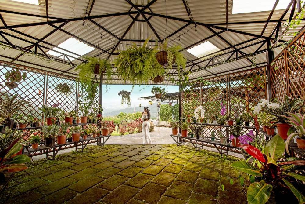 Coffee Pickers Village By Hacienda Orosi Cartago Exterior foto